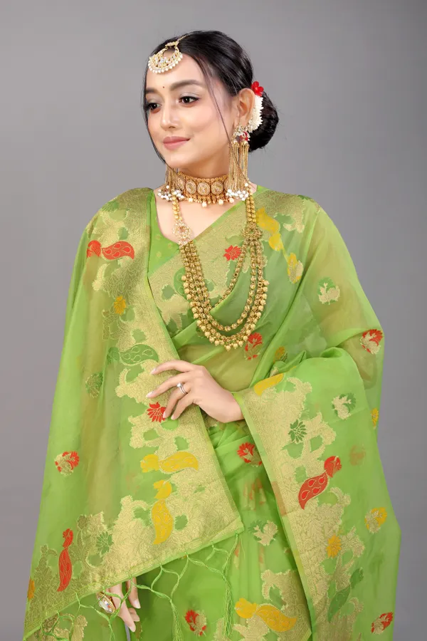 LIGHT_GREEN_WOVEN_WORK_ORGANZA_SAREE